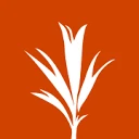 Development Seed company logo